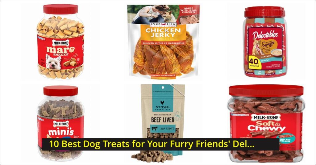 Dog Treats Image
