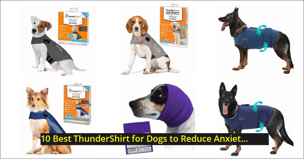 ThunderShirt for Dogs Image
