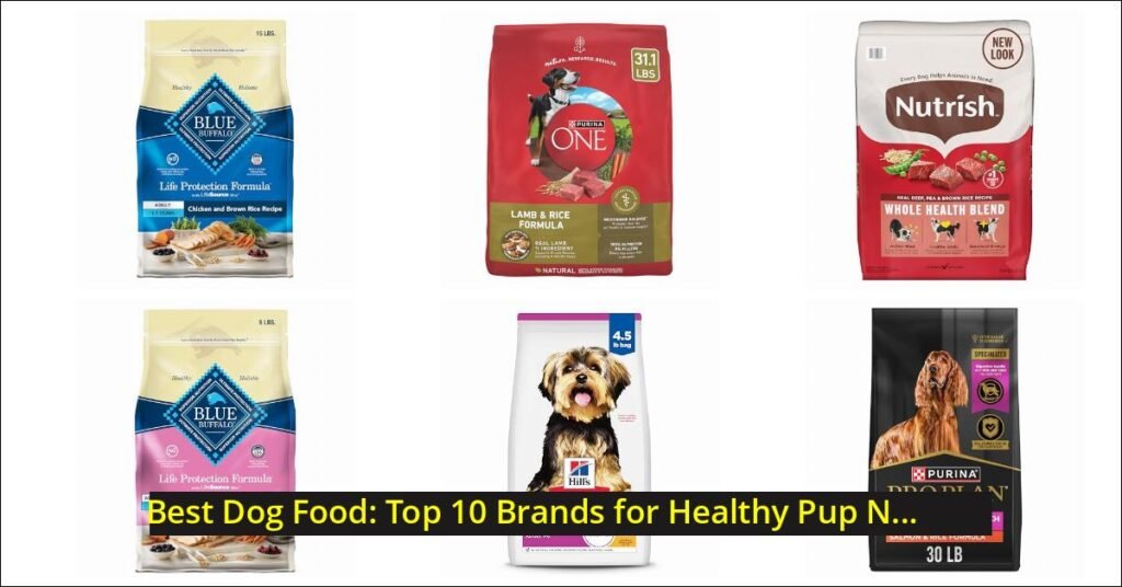 best dog food Image