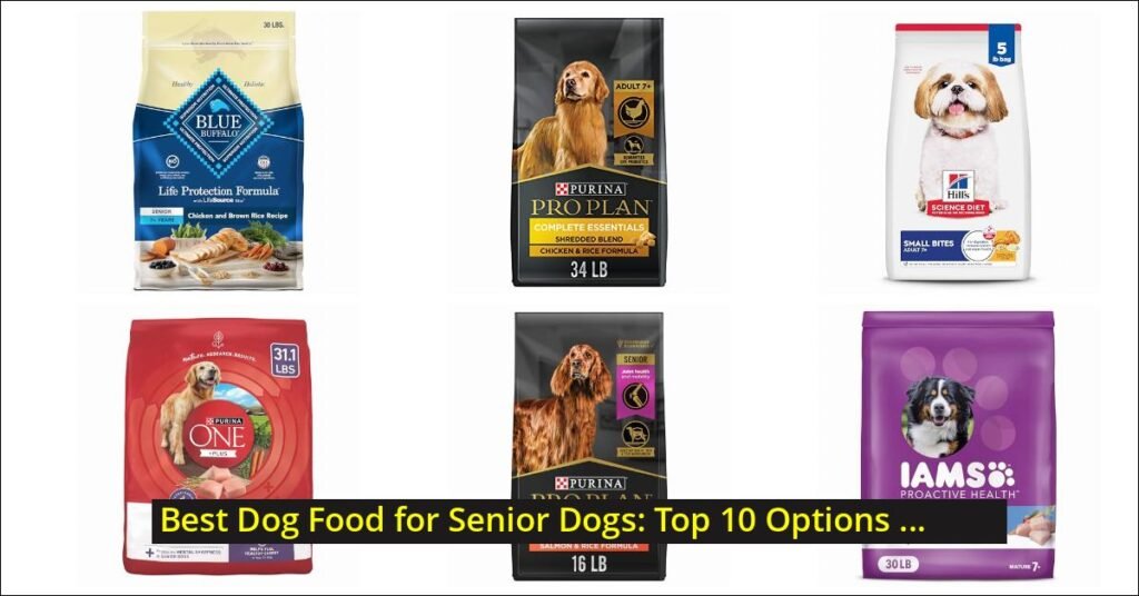 best dog food for senior dogs Image