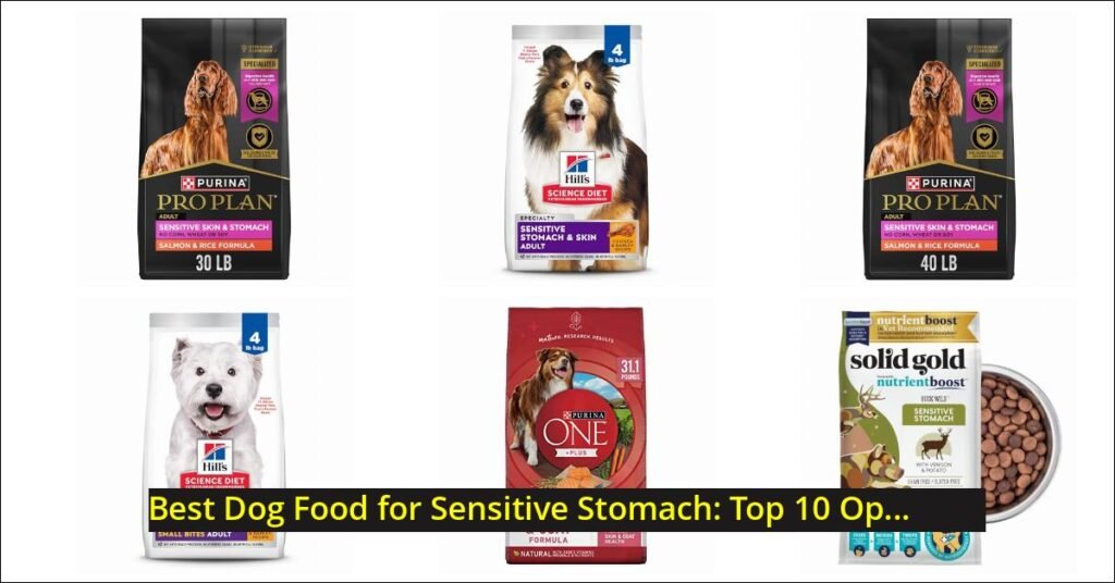 best dog food for sensitive stomach Image