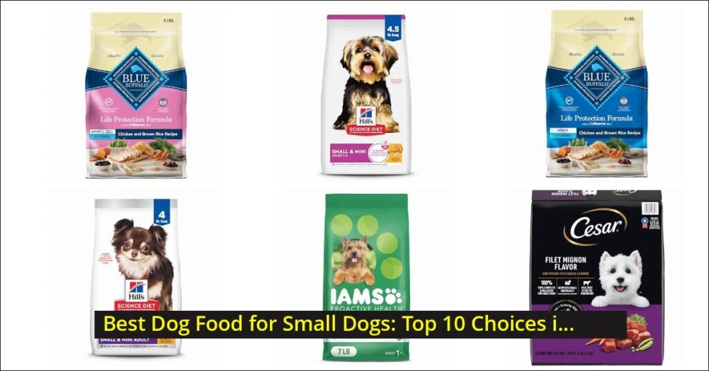 best dog food for small dogs Image
