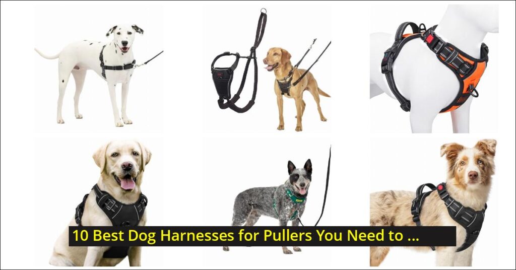best dog harnesses for pullers Image