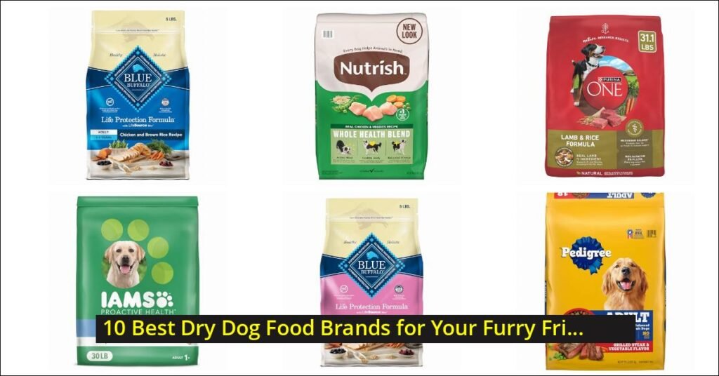 best dry dog food Image