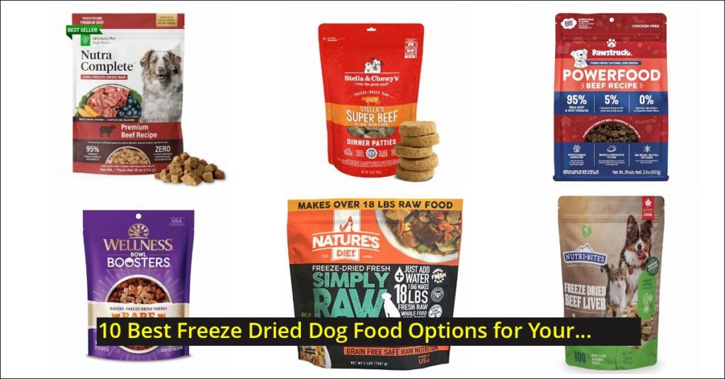 best freeze dried dog food Image