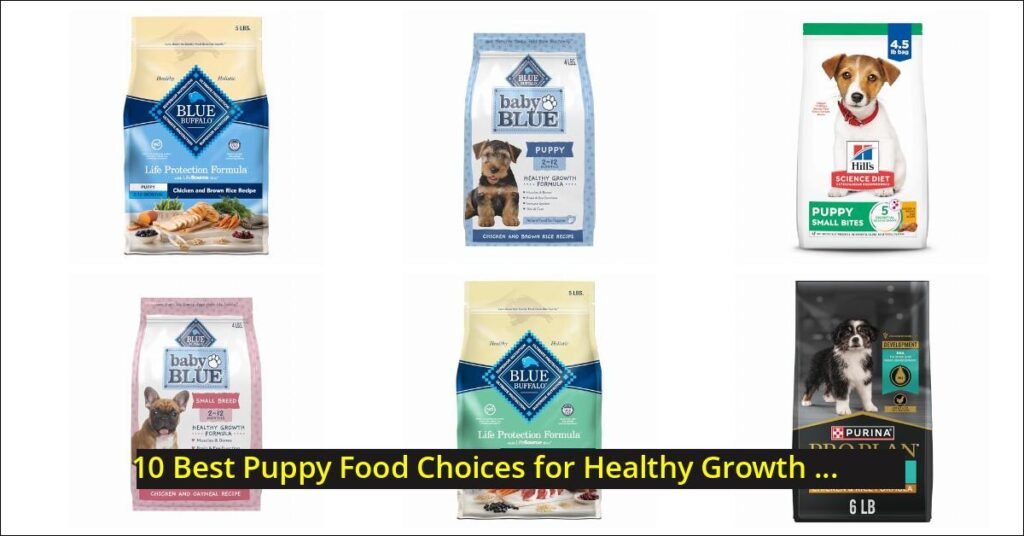 best puppy food Image