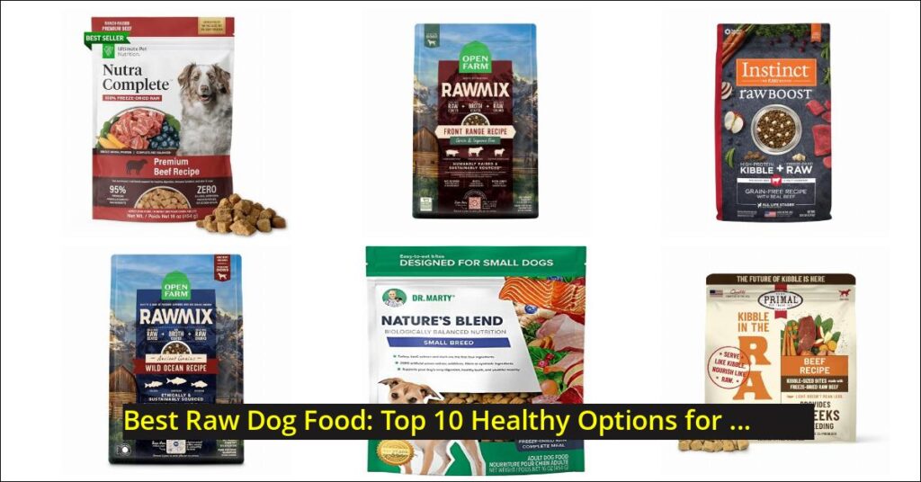 best raw dog food Image