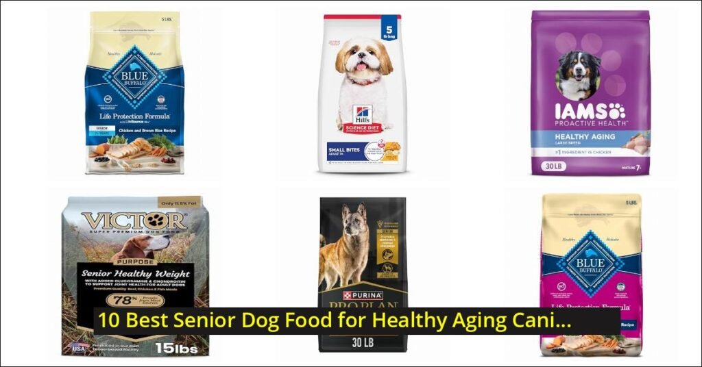 best senior dog food Image
