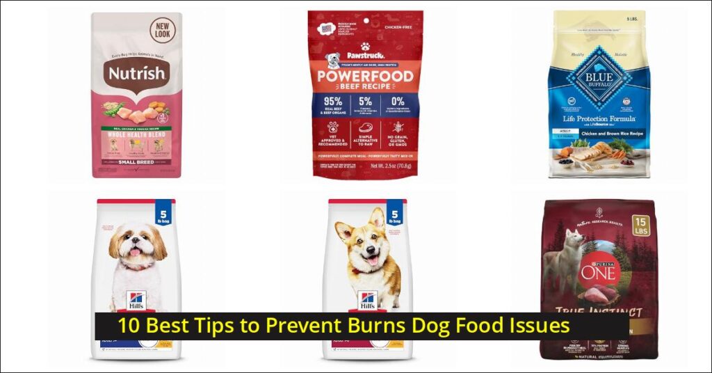 burns dog food Image