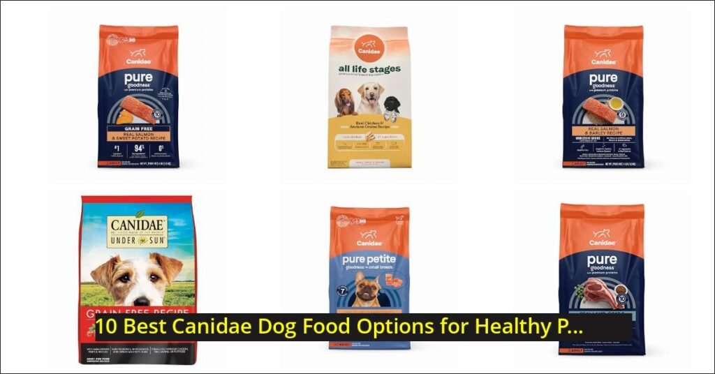 canidae dog food Image