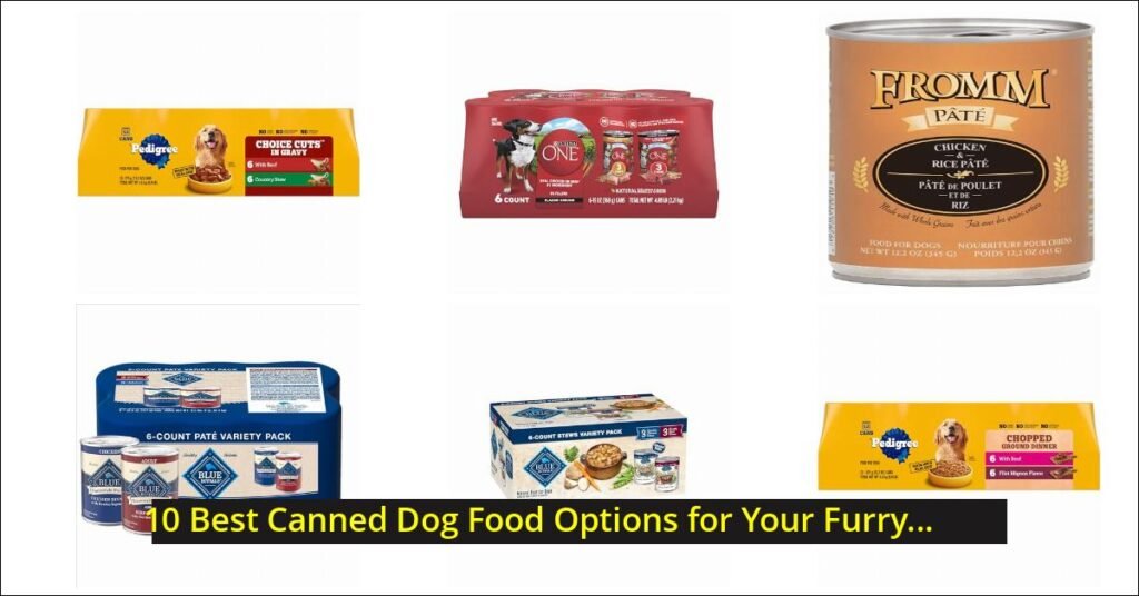 canned dog food Image