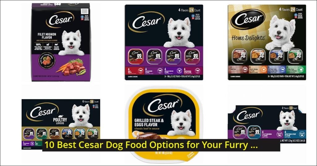 cesar dog food Image