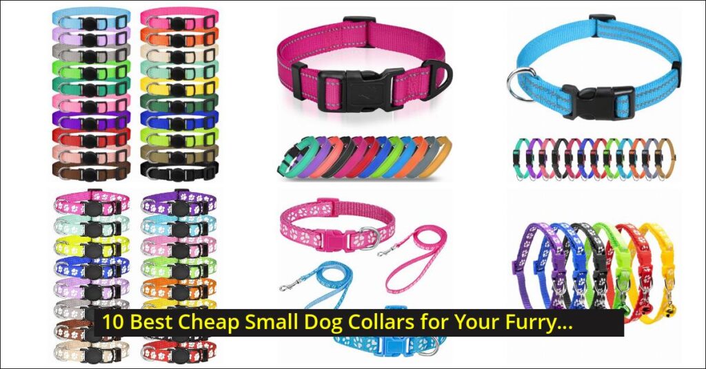 cheap small dog collars Image