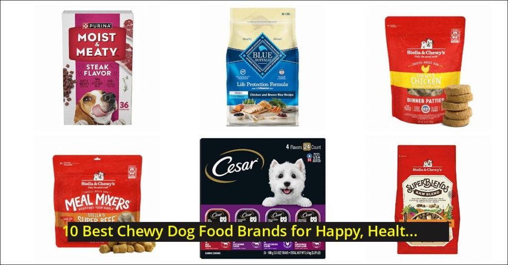 chewy dog food Image