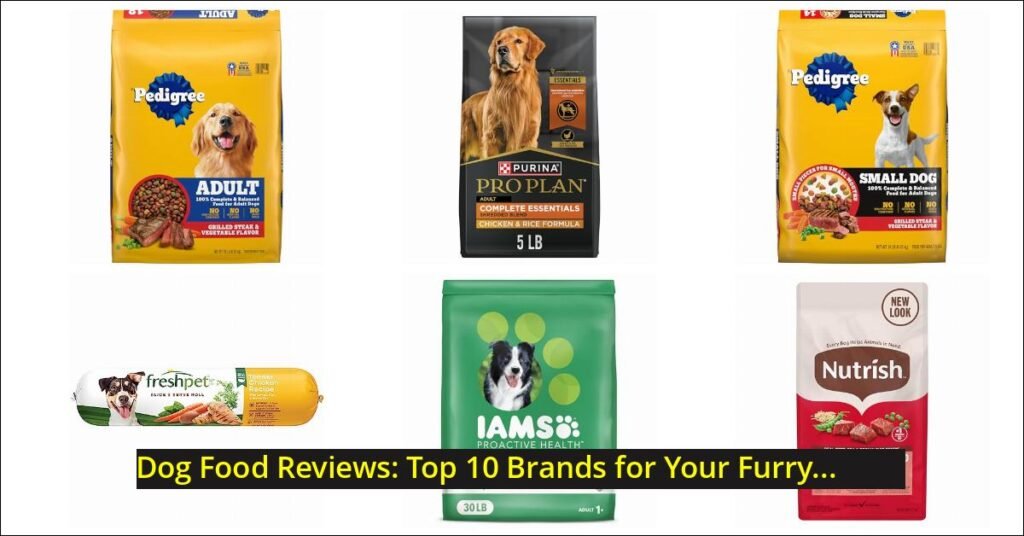 dog food reviews Image