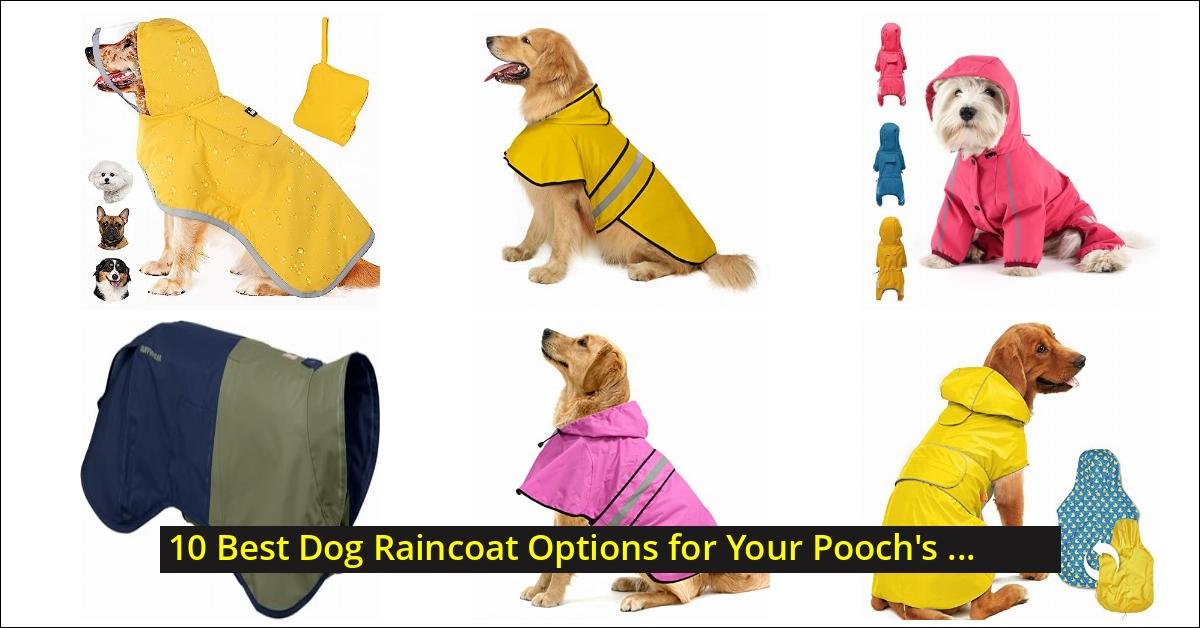 10 Best Dog Raincoat Options for Your Pooch’s Protection