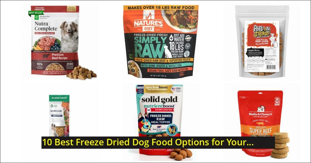 freeze dried dog food Image