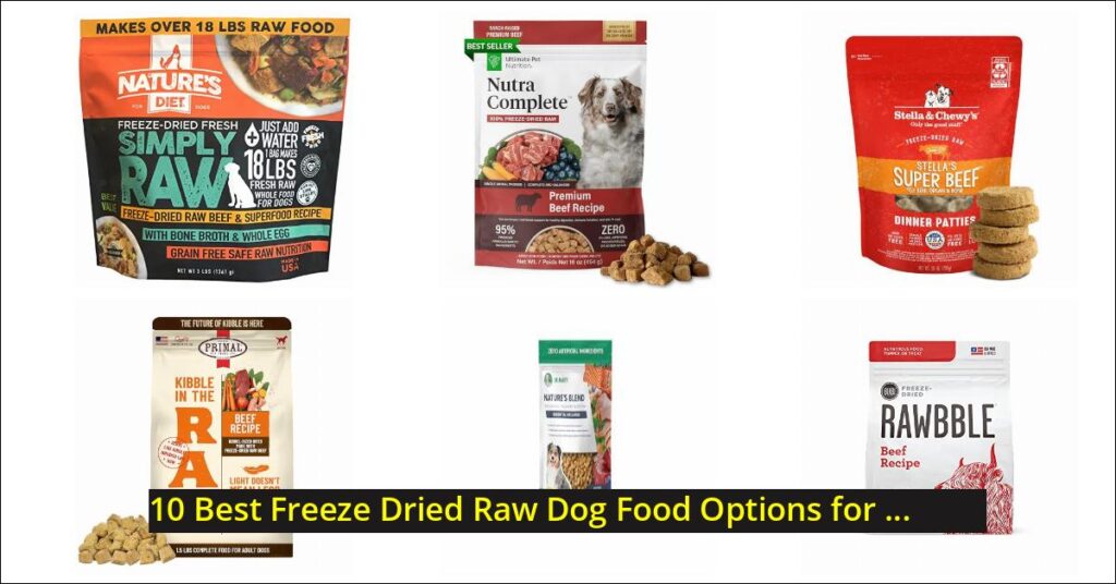 freeze dried raw dog food Image