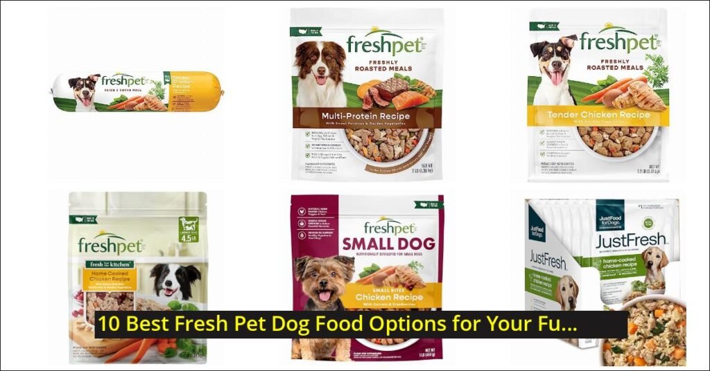 fresh pet dog food Image