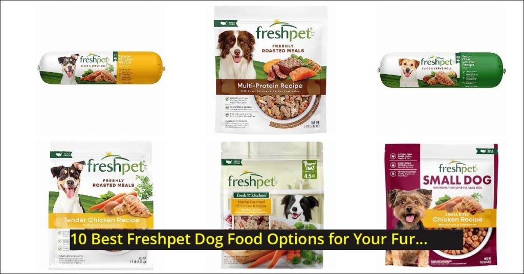freshpet dog food Image