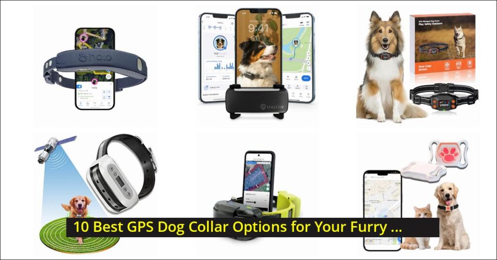 gps dog collar Image
