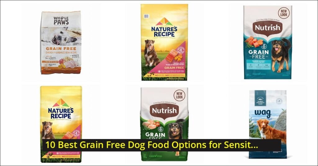 grain free dog food Image