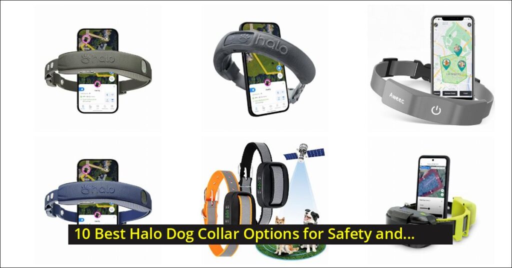 halo dog collar Image