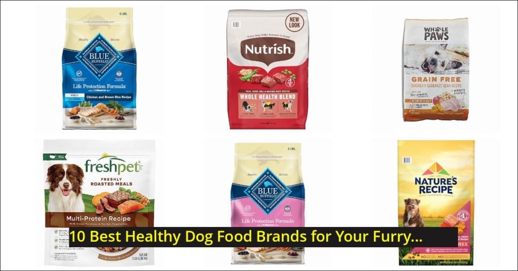 healthy dog food Image