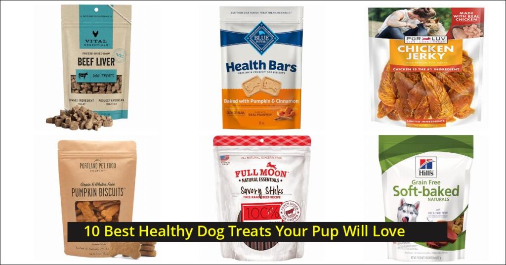 healthy dog treats Image