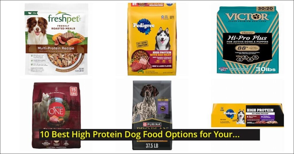 high protein dog food Image