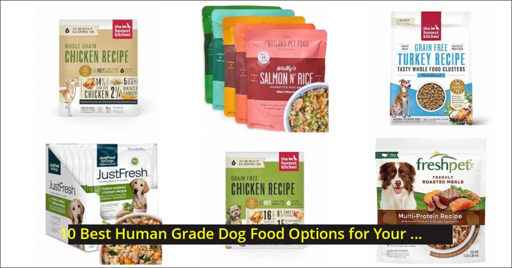 human grade dog food Image