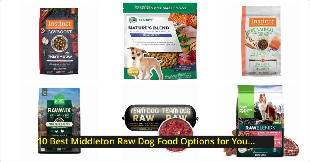 middleton raw dog food Image