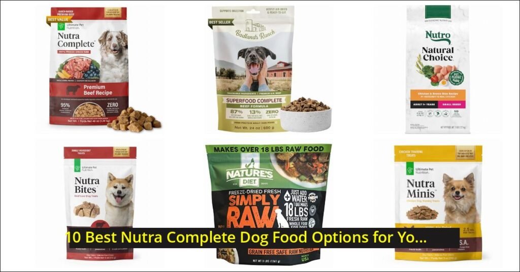 nutra complete dog food Image