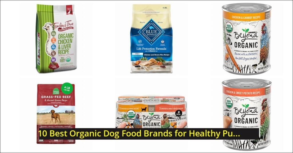 organic dog food Image