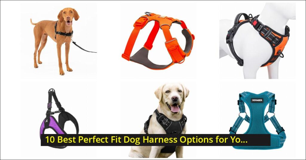 perfect fit dog harness Image