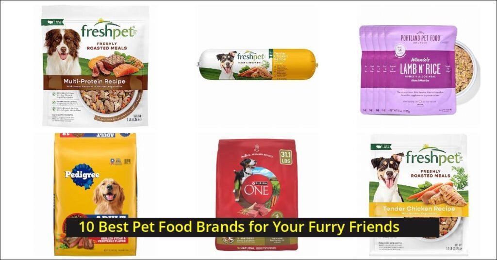 pet food Image