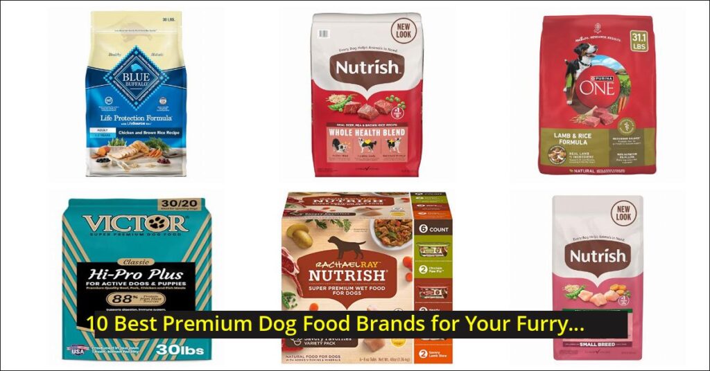 premium dog food Image