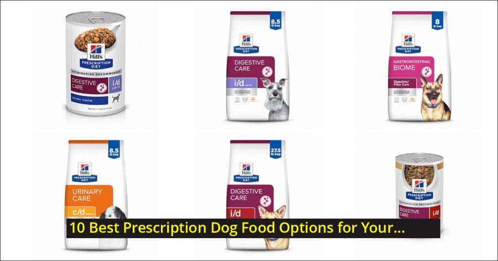 prescription dog food Image