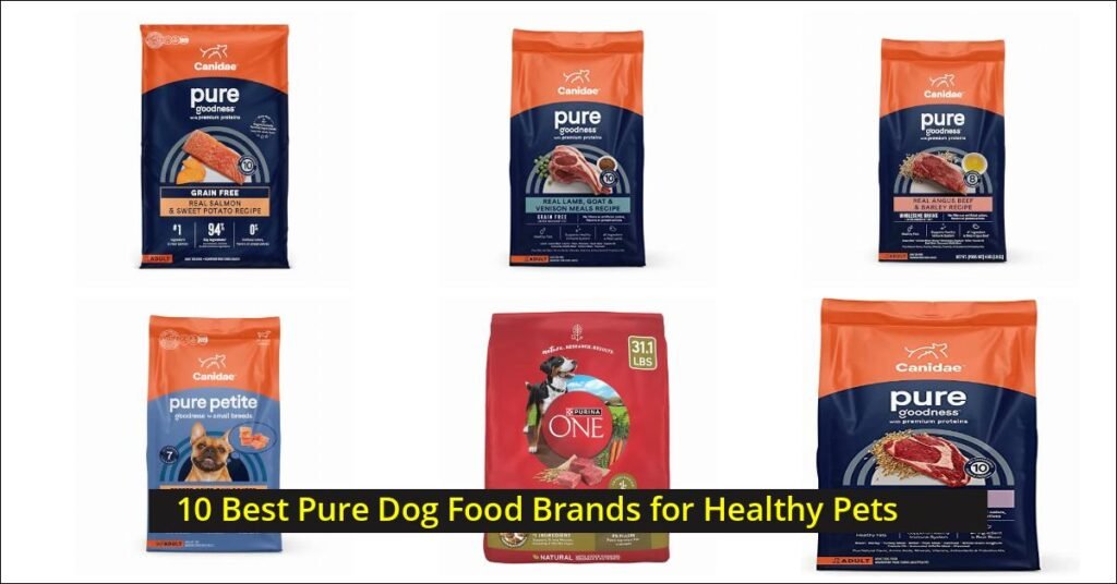 pure dog food Image