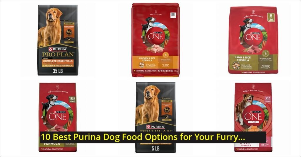 purina dog food Image