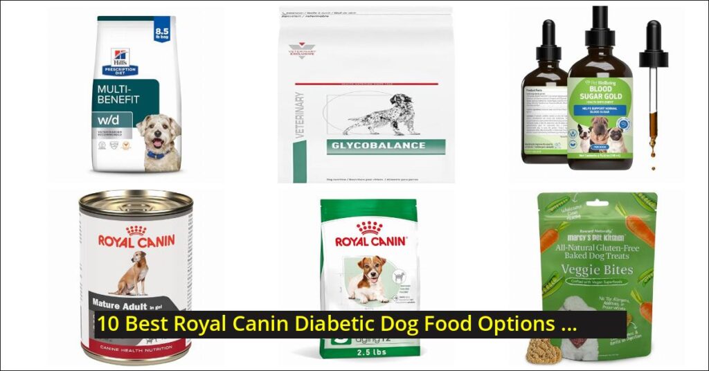 royal canin diabetic dog food Image