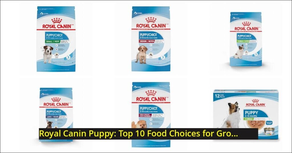 royal canin puppy Image