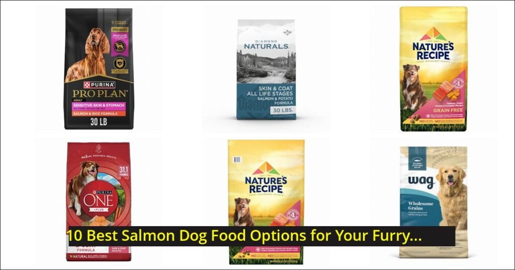 salmon dog food Image