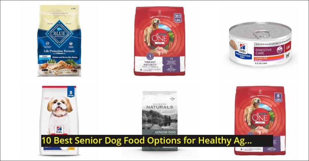 senior dog food Image