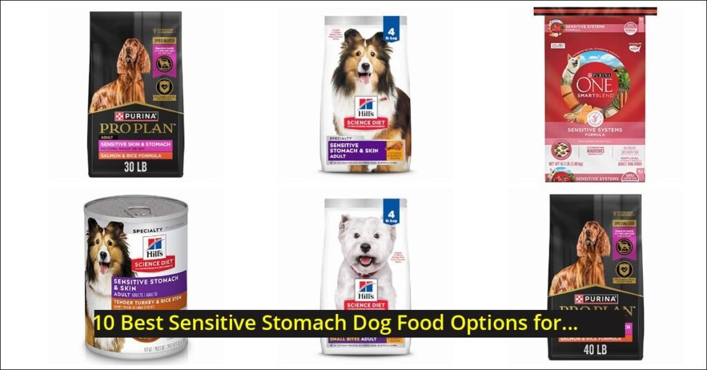 sensitive stomach dog food Image