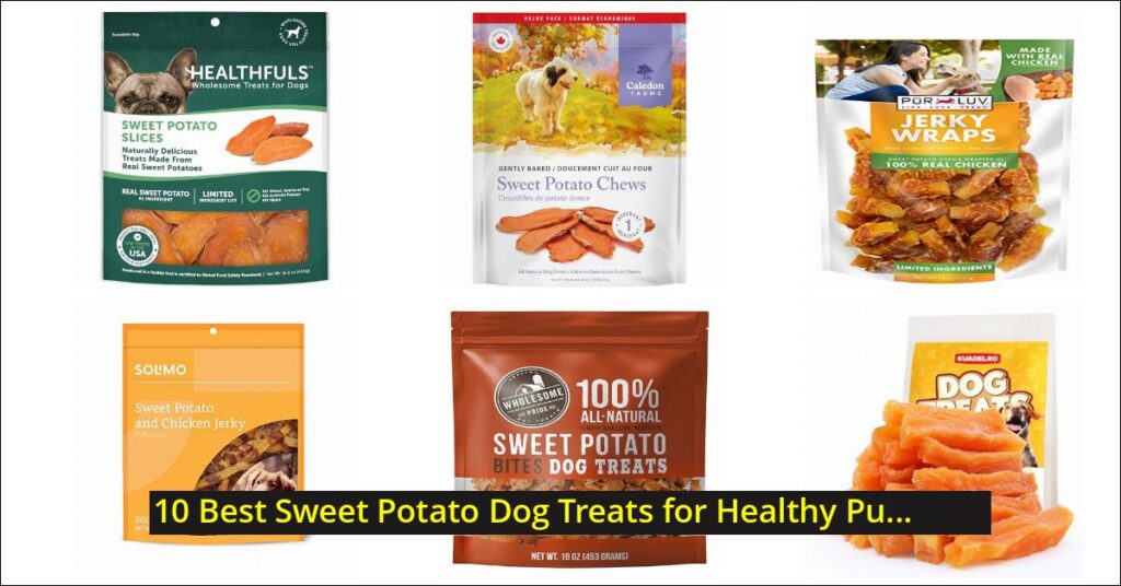 sweet potato dog treats Image