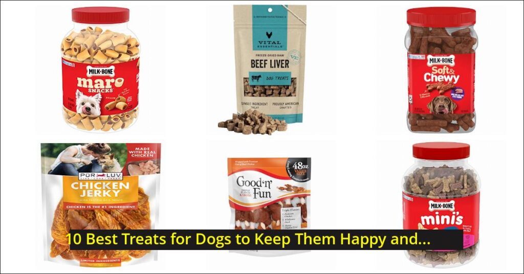 treats for dogs Image