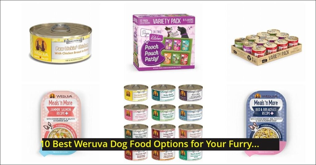 weruva dog food Image