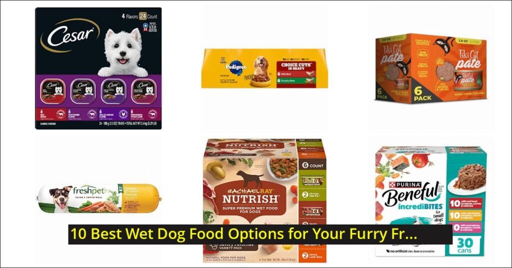 wet dog food Image