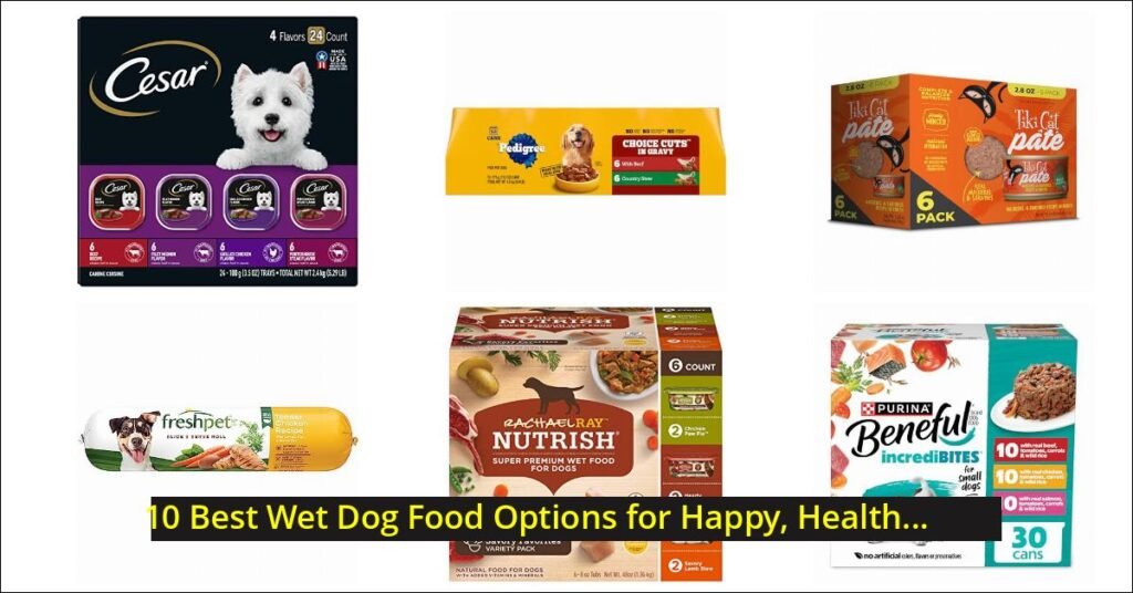 wet dog food Image
